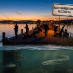 Symbolbild zum Nachtangelverbot am Bodensee mit einem Schild zu Fangregeln vor einer Mole bei Dämmerung und Unterwasseransicht von Aal und Barsch.
